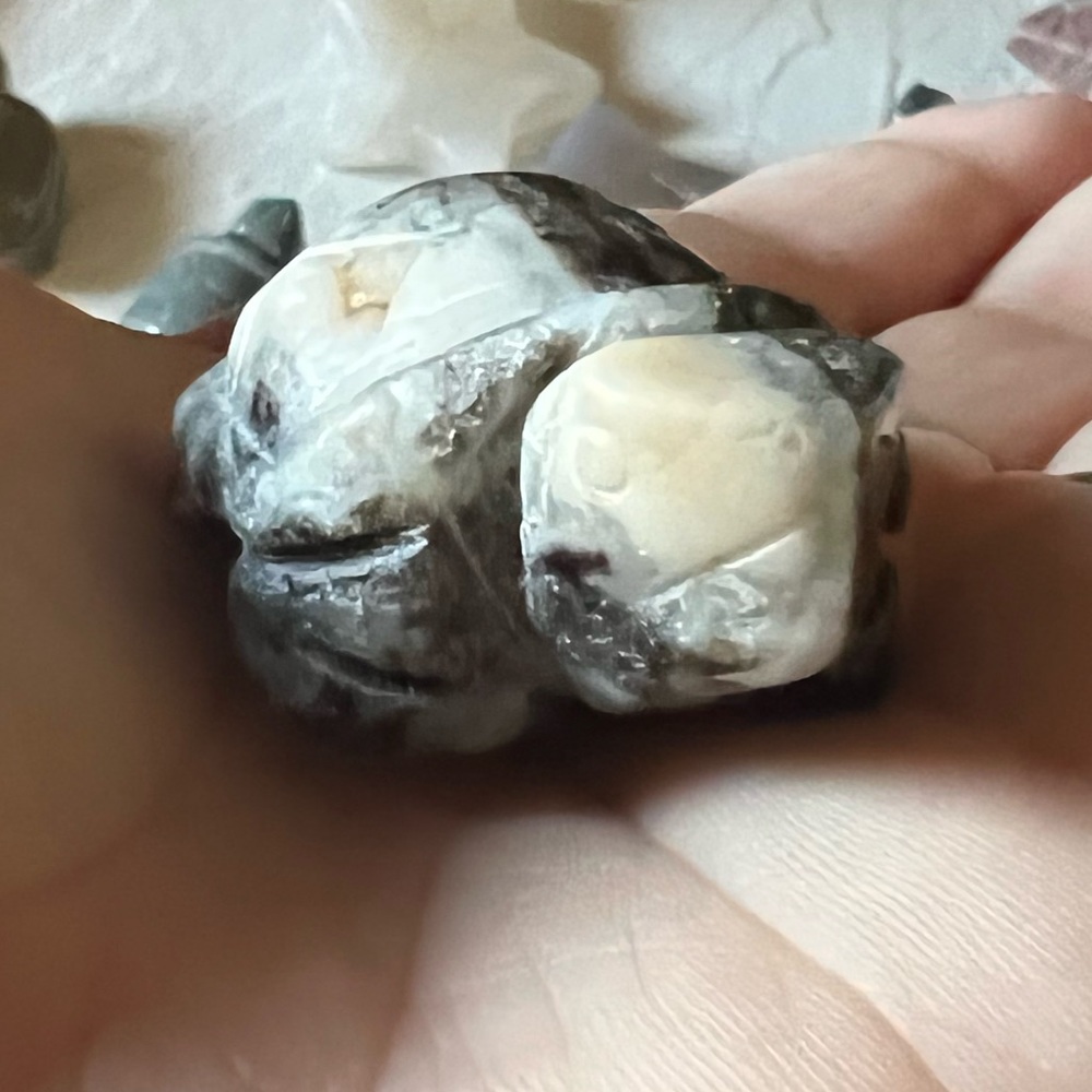 Turtle Carving - Picture 11 of 16